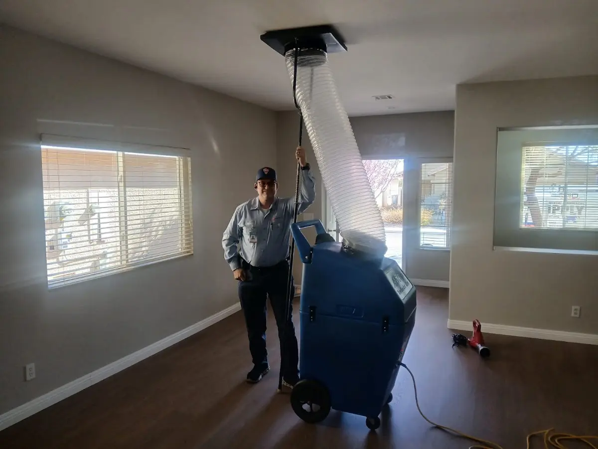 Professional Dryer Vent Cleaning work inside a Dalton home